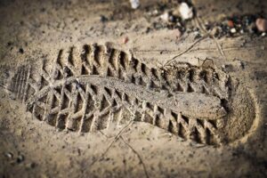 Read more about the article Managing your business’s digital footprint